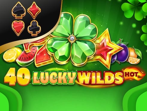 40 Lucky Wilds Hot game screenshot
