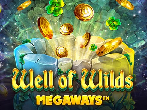 Well of Wilds Megaways game screenshot